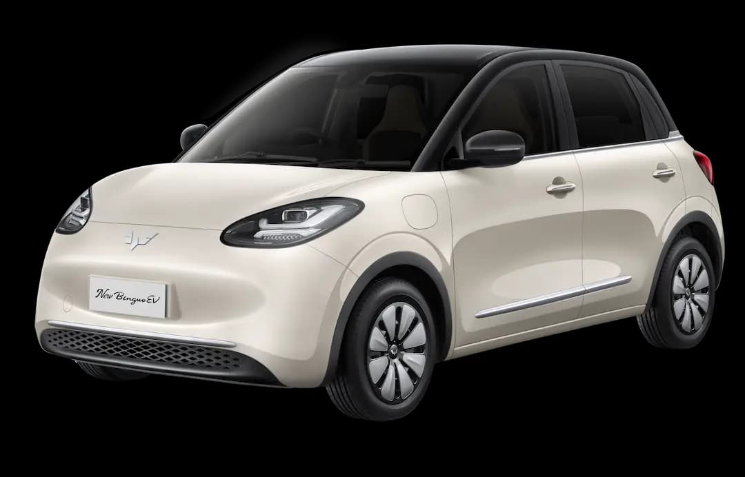 Wuling Binguo