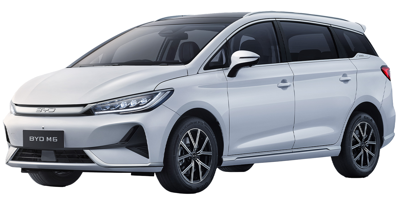 BYD M6